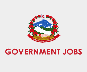 Government Jobs