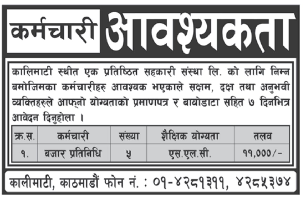 Banking Career in Cooperative, Kalimati Kathmandu – Job Finder in Nepal ...