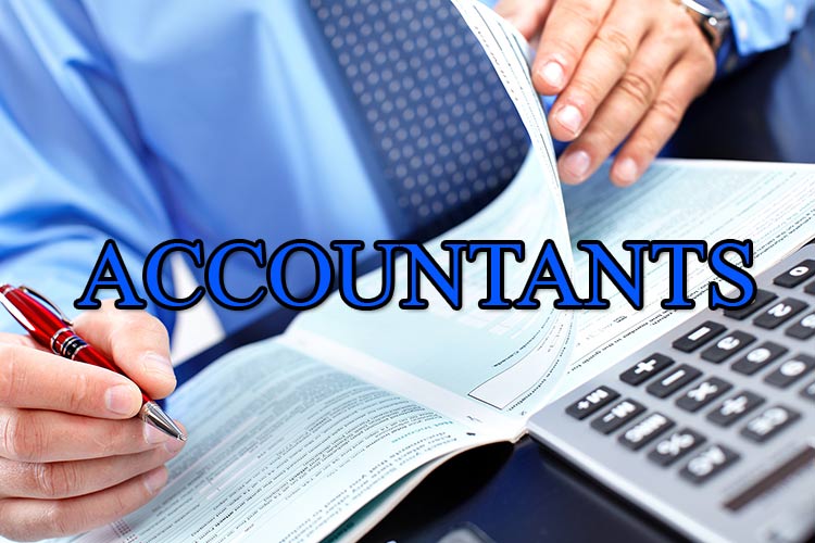 Image result for Accountant